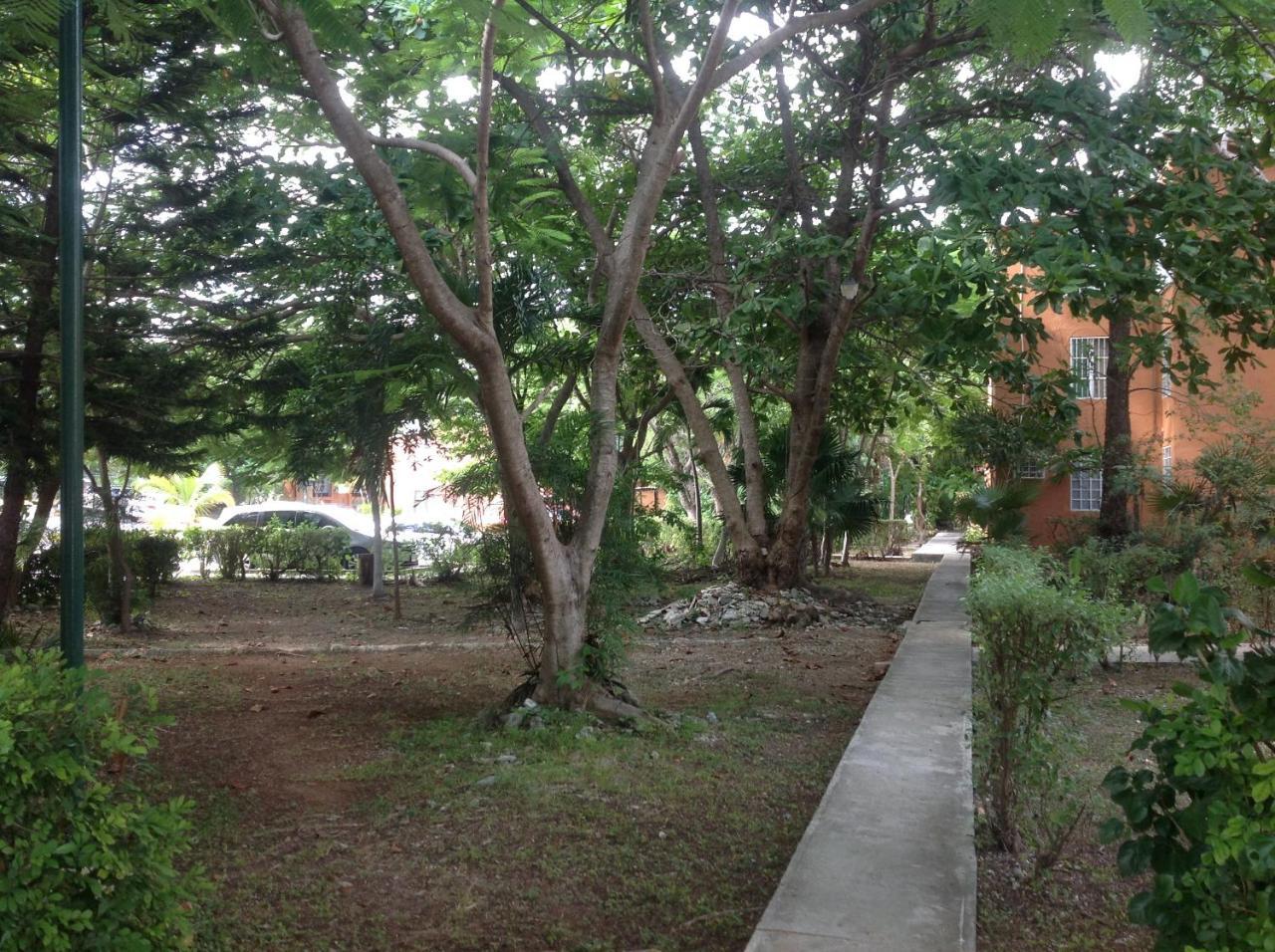 Departamento Tucan Cancun Dış mekan fotoğraf